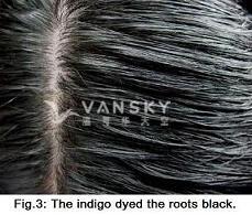 250731141003_Hair-Dyed with indigo-s.jpg